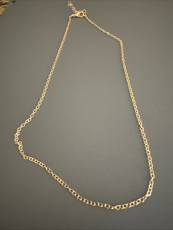 Jewelry - Delicate Goldtone Simple Chain Necklace - Women Jewelry